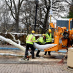 tree limb in wood chipper